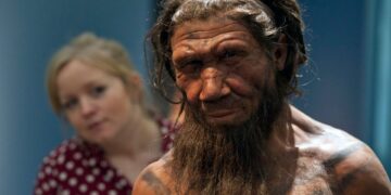 Neanderthalers tonen zowel geweld als zorg, botten uit Iraakse grot suggereren.